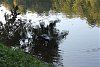     . 

:	IMG_1722.jpg 
:	36 
:	433.1  
ID:	13843
