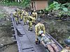     . 

:	creek13x.jpg 
:	18 
:	96.9  
ID:	29739