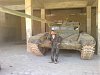     . 

:	untitled.jpg 
:	56 
:	16.8  
ID:	30292