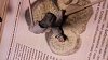     . 

:	20160307_201638.jpg 
:	16 
:	74.1  
ID:	31514