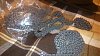     . 

:	DSC_2044 2.jpg 
:	84 
:	49.5  
ID:	36177