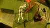     . 

:	DSC01469.JPG 
:	50 
:	848.9  
ID:	4897