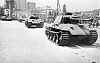 Romanian_Panther_tanks.jpg