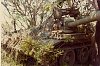     . 

:	t55camo4.jpg 
:	15 
:	402.3  
ID:	14261